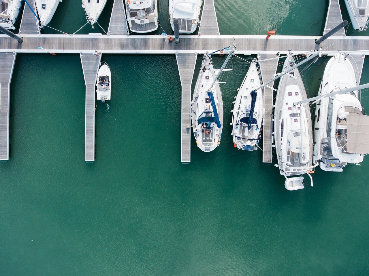 Yachts in marina